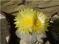 2c4c275e-Picture 012.jpg